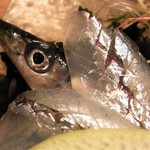 はてなのちゃわん - 