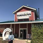 Cafe brunch TAMAGOYA - 