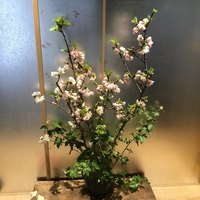 瓢斗 四条烏丸店 - 