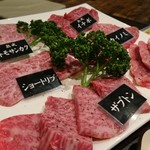 SATUMA FUKUNAGA Cooneis - 