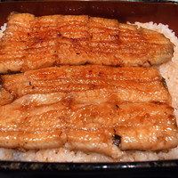 五代目 野田岩 麻布飯倉本店 - 鰻重
