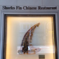 筑紫樓 銀座店 - 