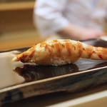 日本橋蛎殻町 すぎた - 【握り】巻き海老