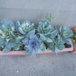 ベーカリーいずみ - 外観