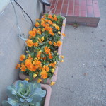 ベーカリーいずみ - 外観