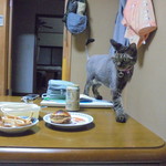 ベーカリーいずみ - 食べてみた（旨い）