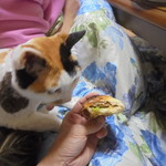 ベーカリーいずみ - 食べてみた（旨い）