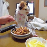 ベーカリーいずみ - 食べてみた（旨い）