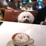 アネア　カフェ - アンジェリーナ嬉しそう