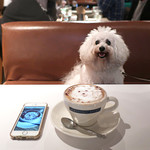 アネア　カフェ - 並べてみました・・♡