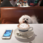 アネア　カフェ - 左：４年前の作品