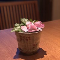 薪の音 - 