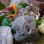 酒肴遊善 じねん - 生しらす。これも美味しかったです！