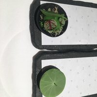 オマージュ - 
