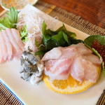 魚山人 - 刺身盛り（ヒラマサ、クエ、クエの皮、サクラマス卵）