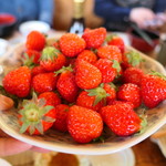 魚山人 - デザートのいちご