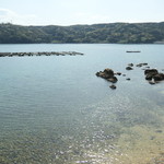 魚山人 - 海がキラキラ