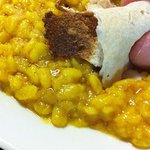 ディル レストラン - 2011-06-25　イエロームングダールのカレー（拡大）