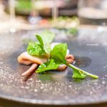 レストラン トヨ トーキョー - 走る豚／熊本野菜