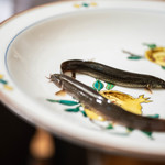 太華 - 常州（ひたちのくに）泥鰌（どぢやう）　※手振れ御免