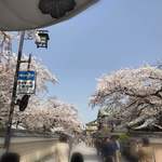 Sushi Matsumoto - 祇園の桜
