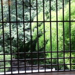 菊乃井 本店 - 菊の間からの景色