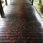 びっくはんど - 