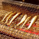 囲炉裏料理わ - モロコモロコ〜〜
      ガンガン焼いてこーぜっψ(｀∇´)ψ 