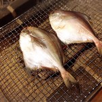 囲炉裏料理わ - 初めていただくマナガツオ！