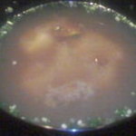 龍吟 - お味噌汁