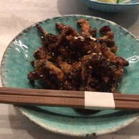CINA New Modern Chinese - 
