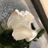 鮨処 榎本 - マコガレイ