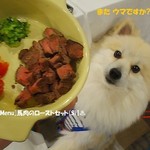 カーロ・フォレスタ - [Dog Menu]馬肉のロースト(S)♨(②泊目)