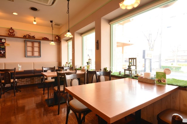 Omurice & Pasta Kent's photo 5