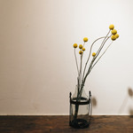 シグネ コーヒー - 