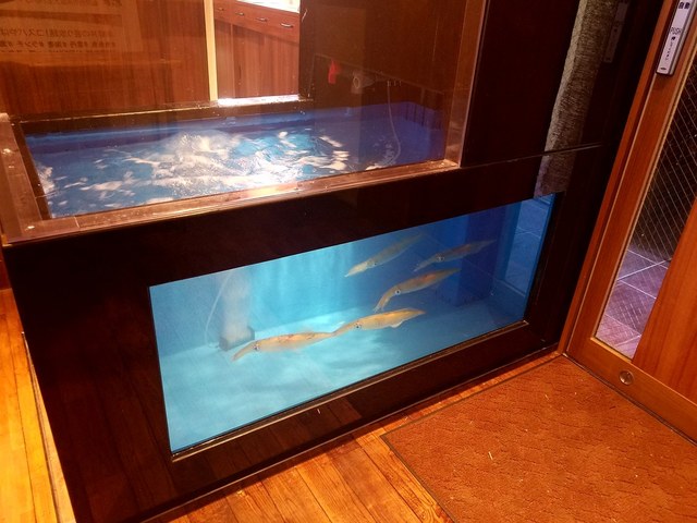 魚魚魚魚 魚魚魚魚魚(うおうおぎょぎょぎょ)！ 鮮魚BOX【送料無料