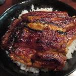 イチビキ - 特上丼