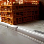 貝ガラ屋 - 菅野製麺