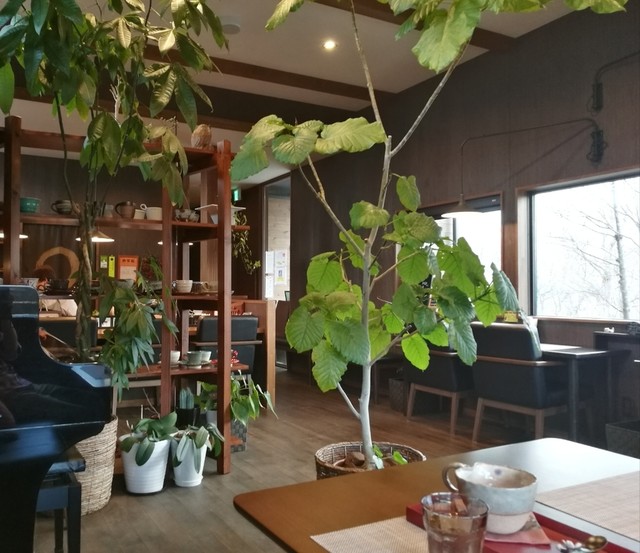 yosuga cafe（ヨスガ カフェ） - 蔵王（カフェ）の写真