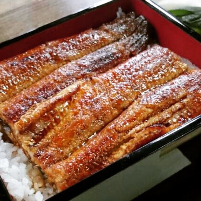 Una Toyo, Nagoya, Japan