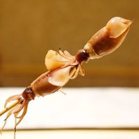 鮨 さいとう - 