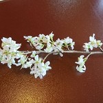 東京 芝 とうふ屋うかい - 