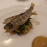 ヴァッカロッサ - 