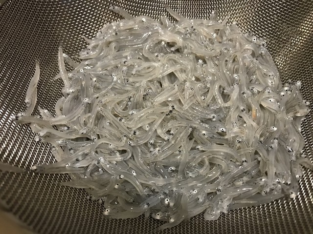 貴重な生シラス 小坪のありがたい直売処 By Sepsaku6 まるき丸 逗子 その他 食べログ
