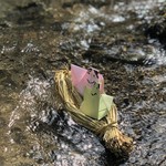 美山荘 - 願いとともに・・・