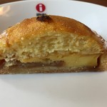 ピュイサンス - シブスト断面