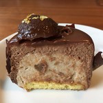 ピュイサンス - ドートンヌ断面