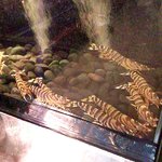 栄寿司 - 車海老