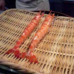 栄寿司 - 鮮やかに茹でられた車海老