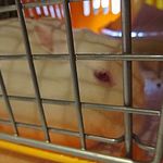 ぬくもりの宿 ふる川 - 